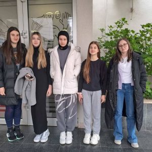 Read more about the article “Orijentalno nasljede Hercegovine u djelima Hivzije Hasandedića”